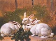 unknow artist Rabbit 072 china oil painting reproduction